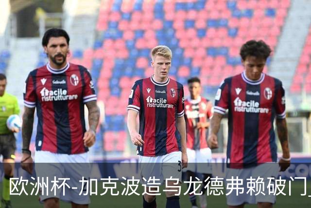 欧洲杯-加克波造乌龙德弗赖破门 荷兰2-1土耳其
